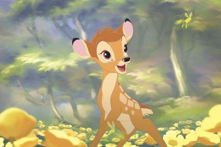 BAMBI bambi BAMBI bambi